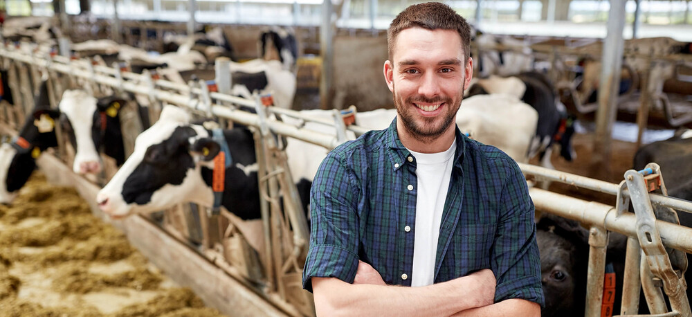 Expert-comptable agriculteur Saint-Omer