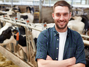 Expert-comptable agriculteur Saint-Omer